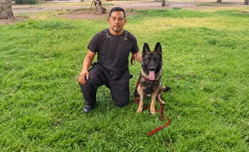 Certificaciön Técnica Especializada prevención y respuesta segura ante ataque canino